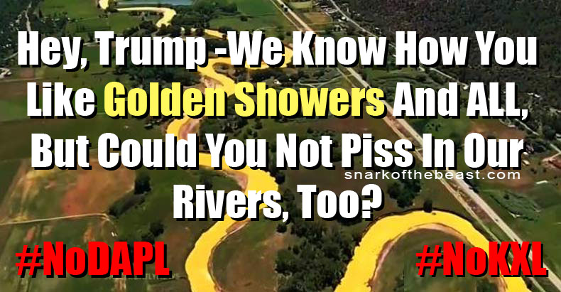 Hey, Trump - We know how you like Golden Showers, and all, but could you NOT piss in our rivers, too?!? #NoDAPL #NoKXL